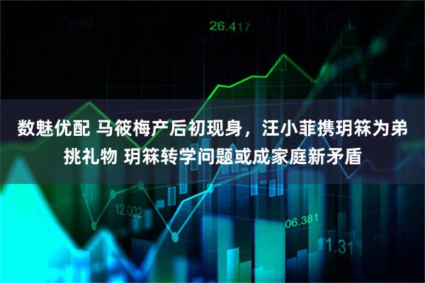 数魅优配 马筱梅产后初现身，汪小菲携玥箖为弟挑礼物 玥箖转学问题或成家庭新矛盾