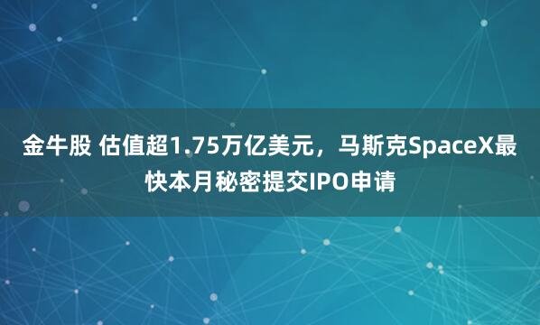 金牛股 估值超1.75万亿美元，马斯克SpaceX最快本月秘密提交IPO申请