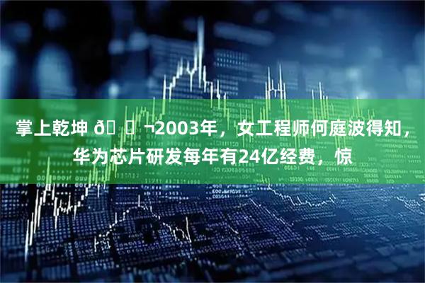 掌上乾坤 🌬2003年，女工程师何庭波得知，华为芯片研发每年有24亿经费，惊
