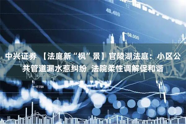 中兴证券 【法庭新“枫”景】官陵湖法庭：小区公共管道漏水惹纠纷  法院柔性调解促和谐