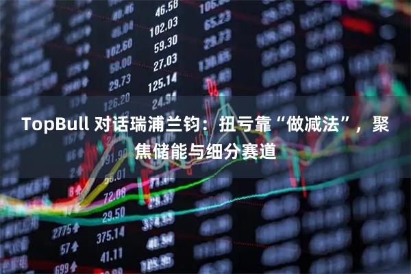 TopBull 对话瑞浦兰钧：扭亏靠“做减法”，聚焦储能与细分赛道