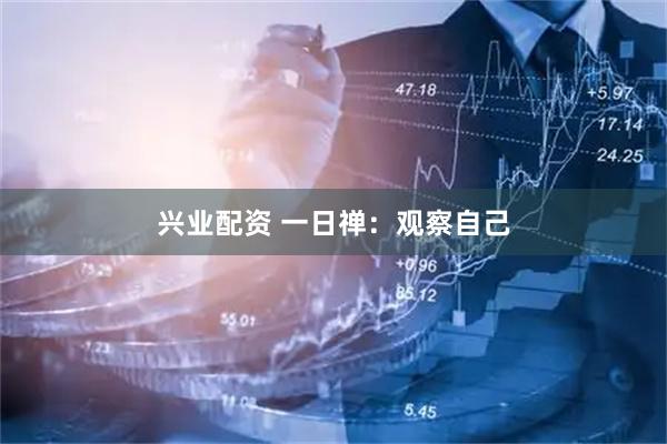 兴业配资 一日禅：观察自己