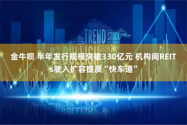 金牛呗 半年发行规模突破330亿元 机构间REITs驶入扩容提质“快车道”