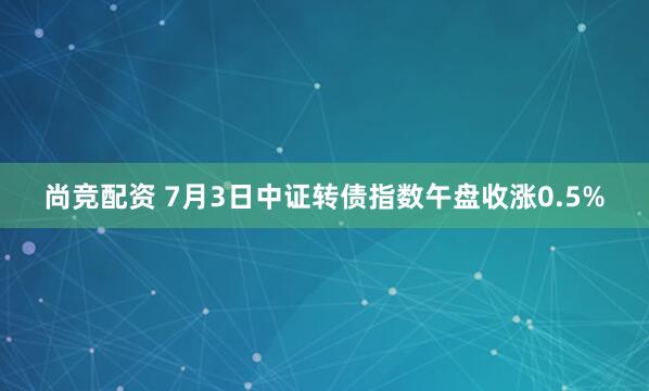 尚竞配资 7月3日中证转债指数午盘收涨0.5%