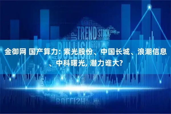 金御网 国产算力: 紫光股份、中国长城、浪潮信息、中科曙光, 潜力谁大?
