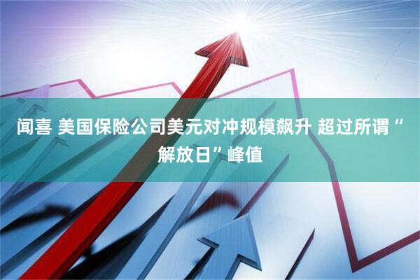 闻喜 美国保险公司美元对冲规模飙升 超过所谓“解放日”峰值