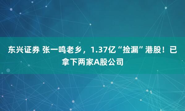 东兴证券 张一鸣老乡,1.37亿“捡漏”港股!已拿下两家A股公司